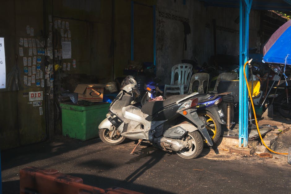 Professional automotive service quality standards